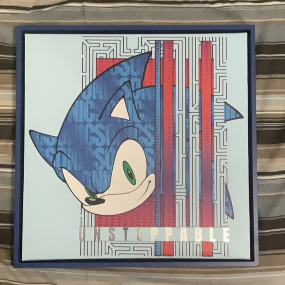 Sonic The Hedgehog Wall framing decor